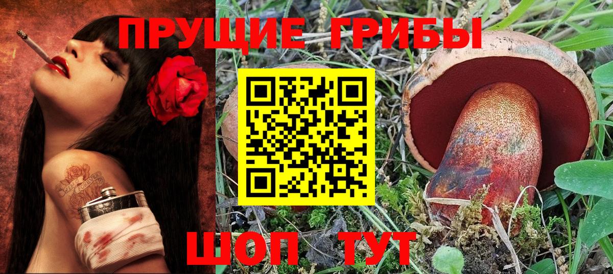 Псилоцибиновые грибы GOLDEN TEACHER  купить  цена  Ростов-на-Дону  Вход с VPN 